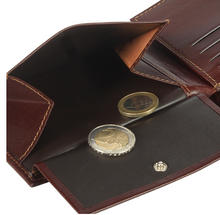 Lade das Bild in den Galerie-Viewer, Golden Head Geldtasche "Explorer"